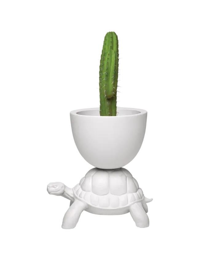 Turtle Carry Planter And Champagne Cooler