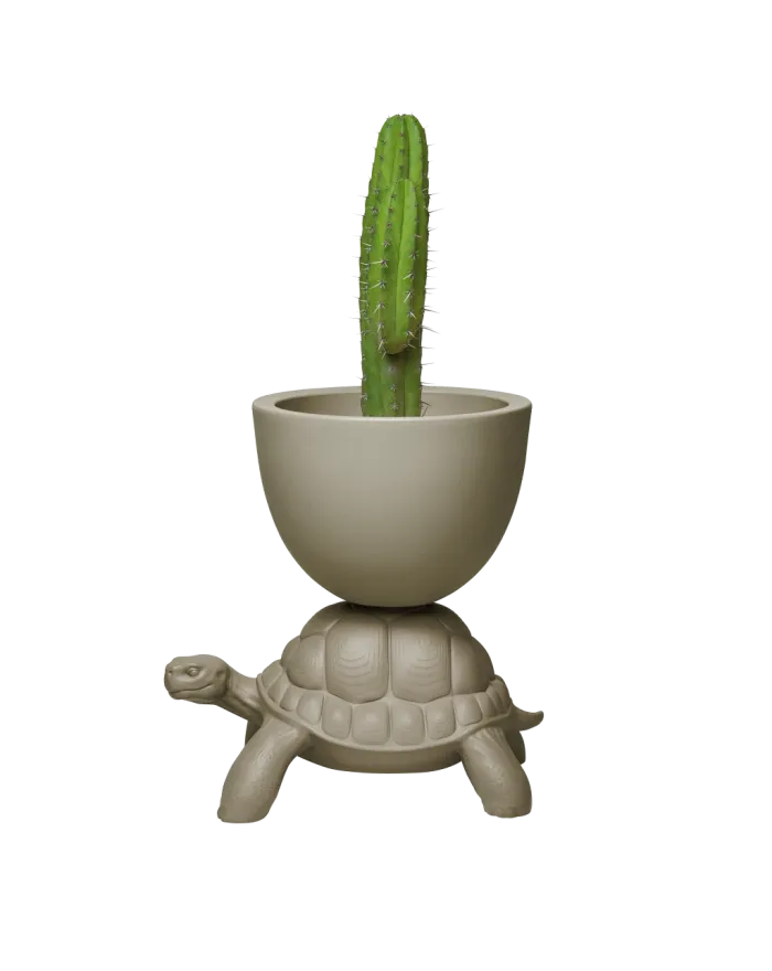 Turtle Carry Planter And Champagne Cooler