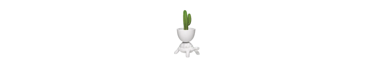 Elevate Your Decor with Chic Vases | Explore Our Vase Collection
